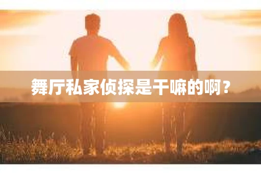 舞厅私家侦探是干嘛的啊？
