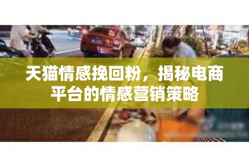 天猫情感挽回粉，揭秘电商平台的情感营销策略