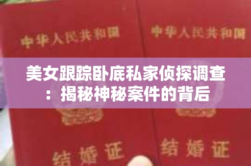 美女跟踪卧底私家侦探调查：揭秘神秘案件的背后