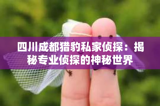 四川成都猎豹私家侦探：揭秘专业侦探的神秘世界
