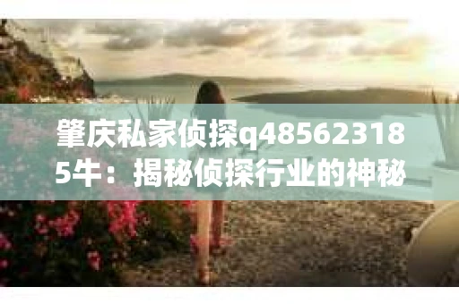 肇庆私家侦探q485623185牛：揭秘侦探行业的神秘面纱