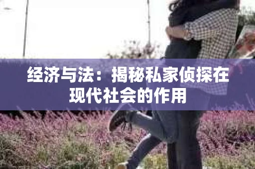 经济与法：揭秘私家侦探在现代社会的作用