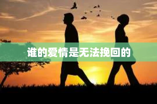 谁的爱情是无法挽回的 谁的爱情是无法挽回的
