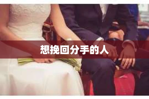 想挽回分手的人