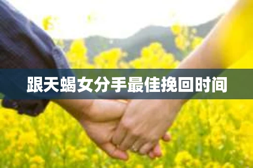 跟天蝎女分手最佳挽回时间