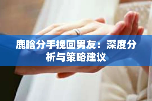 鹿晗分手挽回男友：深度分析与策略建议