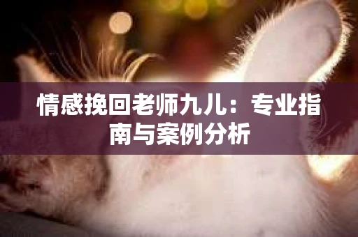 情感挽回老师九儿：专业指南与案例分析