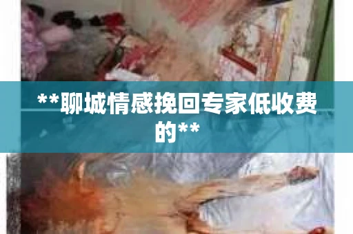**聊城情感挽回专家低收费的**
