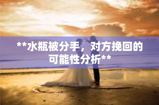 **水瓶被分手，对方挽回的可能性分析**
