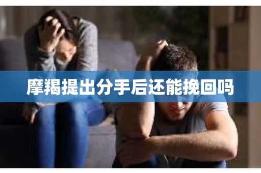 摩羯提出分手后还能挽回吗