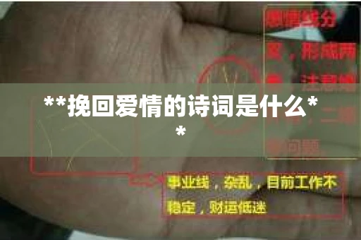 **挽回爱情的诗词是什么**