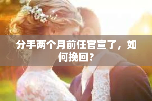 分手两个月前任官宣了，如何挽回？