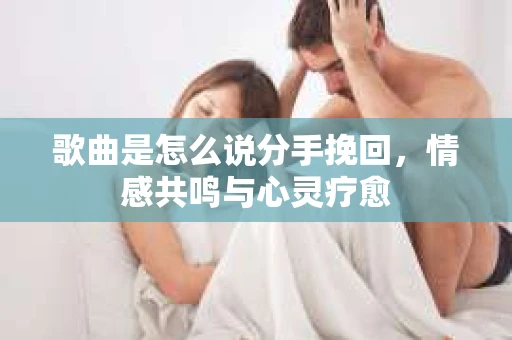 歌曲是怎么说分手挽回，情感共鸣与心灵疗愈