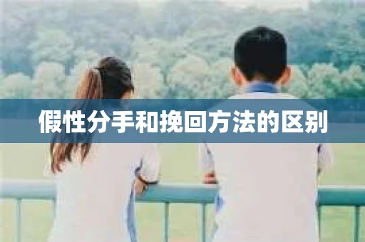 假性分手和挽回方法的区别