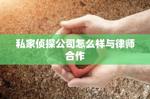 私家侦探公司怎么样与律师合作