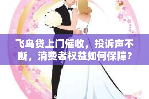 飞鸟贷上门催收，投诉声不断，消费者权益如何保障？