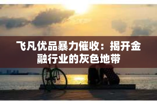 飞凡优品暴力催收：揭开金融行业的灰色地带
