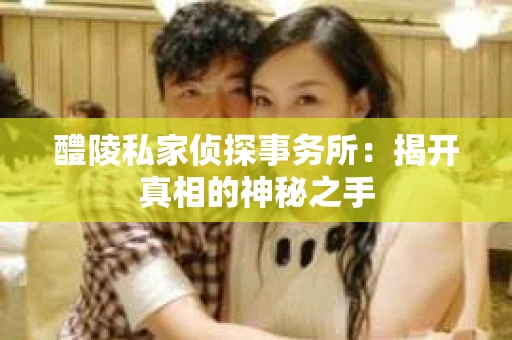 醴陵私家侦探事务所：揭开真相的神秘之手