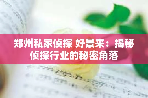 郑州私家侦探 好景来：揭秘侦探行业的秘密角落