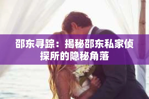邵东寻踪：揭秘邵东私家侦探所的隐秘角落