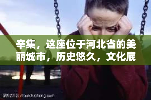 辛集，这座位于河北省的美丽城市，历史悠久，文化底蕴深厚。然而，随着社会的不断发展，人们的生活节奏加快，一些问题也随之而来。比如，有些人可能会遇到一些棘手的问题，需要寻求专业的帮助。那么，辛集有没有私家侦探的地方呢？今天，我们就来聊聊这个话题。