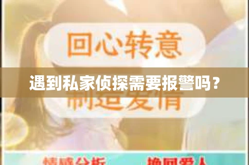 遇到私家侦探需要报警吗？