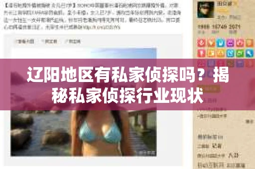 辽阳地区有私家侦探吗？揭秘私家侦探行业现状