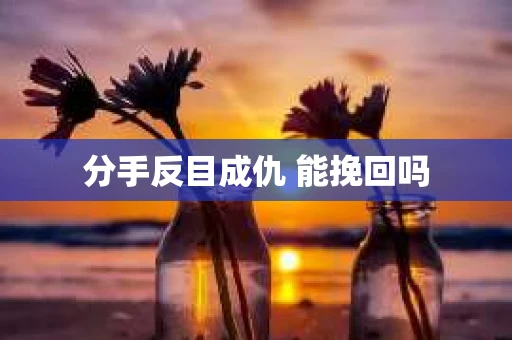 分手反目成仇 能挽回吗 分手反目成仇 能挽回吗
