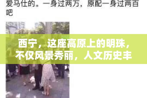 西宁，这座高原上的明珠，不仅风景秀丽，人文历史丰富，也有着它独特的社会需求。今天，我们就来聊聊西宁的私家侦探行业，看看这里是否有私家侦探的存在。