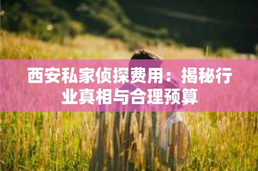 西安私家侦探费用：揭秘行业真相与合理预算