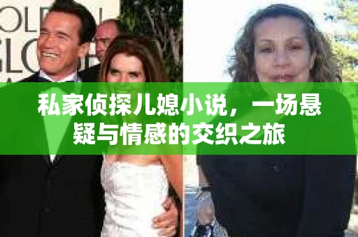 私家侦探儿媳小说，一场悬疑与情感的交织之旅