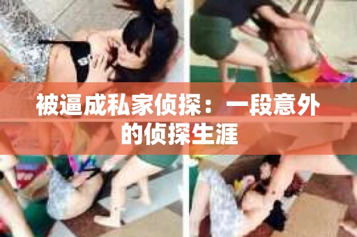 被逼成私家侦探：一段意外的侦探生涯