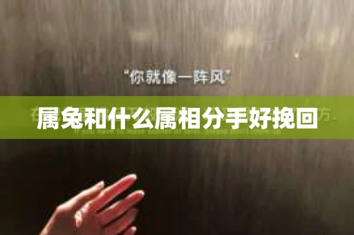 属兔和什么属相分手好挽回