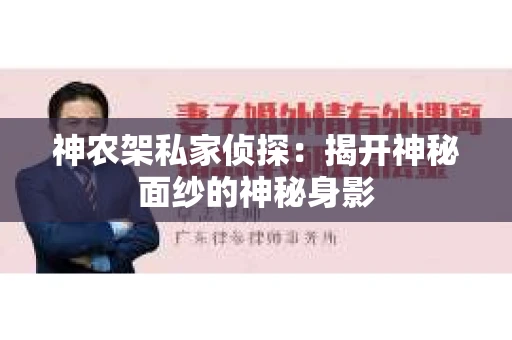 神农架私家侦探：揭开神秘面纱的神秘身影