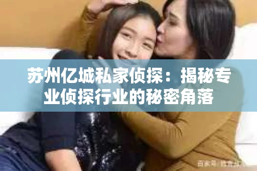 苏州亿城私家侦探：揭秘专业侦探行业的秘密角落